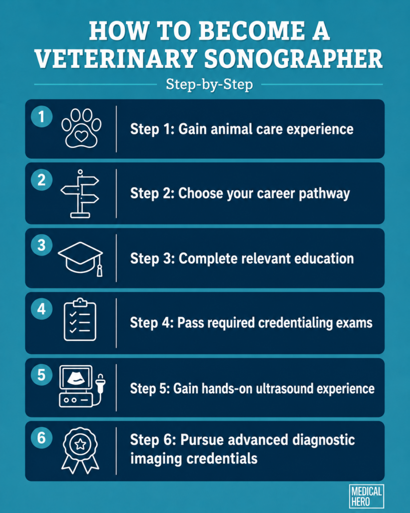 How to Become a Veterinary Sonographer: Step-by-Step